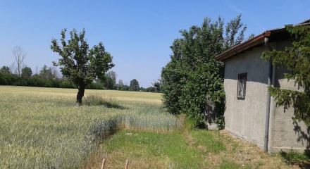 PREDOSA CASCINA VENDITA